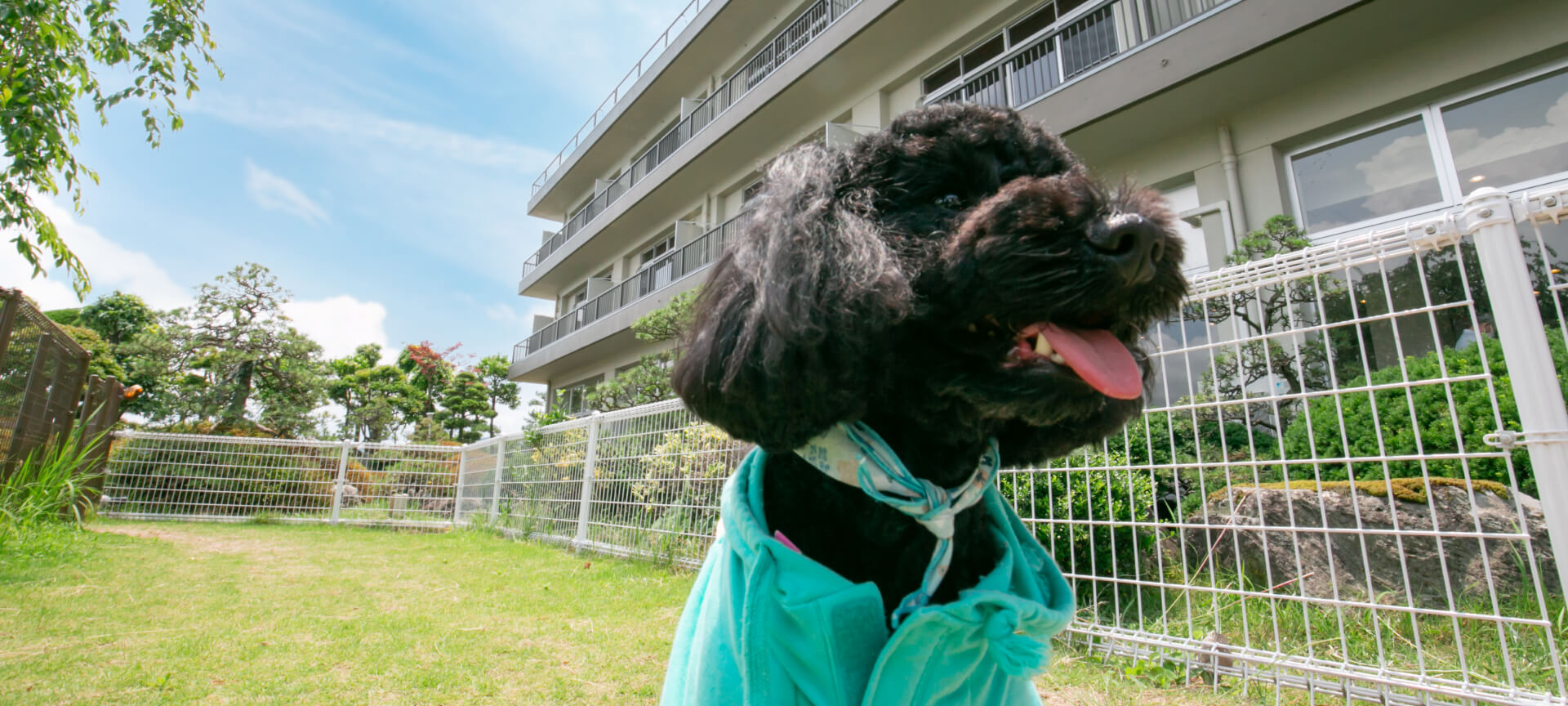 ペットと⼀緒にくつろげるホテルのご案内イメージ