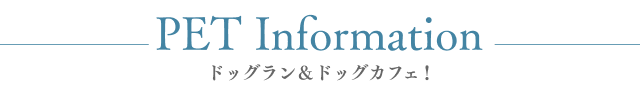 ペットと⼀緒にくつろげるホテル