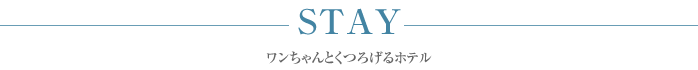 STAY
