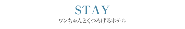 ワンちゃんとくつろげるホテル